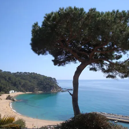 Villa Xaloc Z51 Lloret de Mar